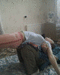 хмреплхррхпсчыюъ рпюйжхъ онъямхвмнцн х цпсдмнцн нрдекю онгбнмнвмхйю